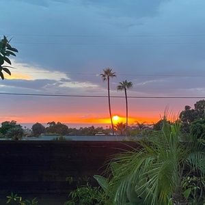 Meet your Posher, Margo